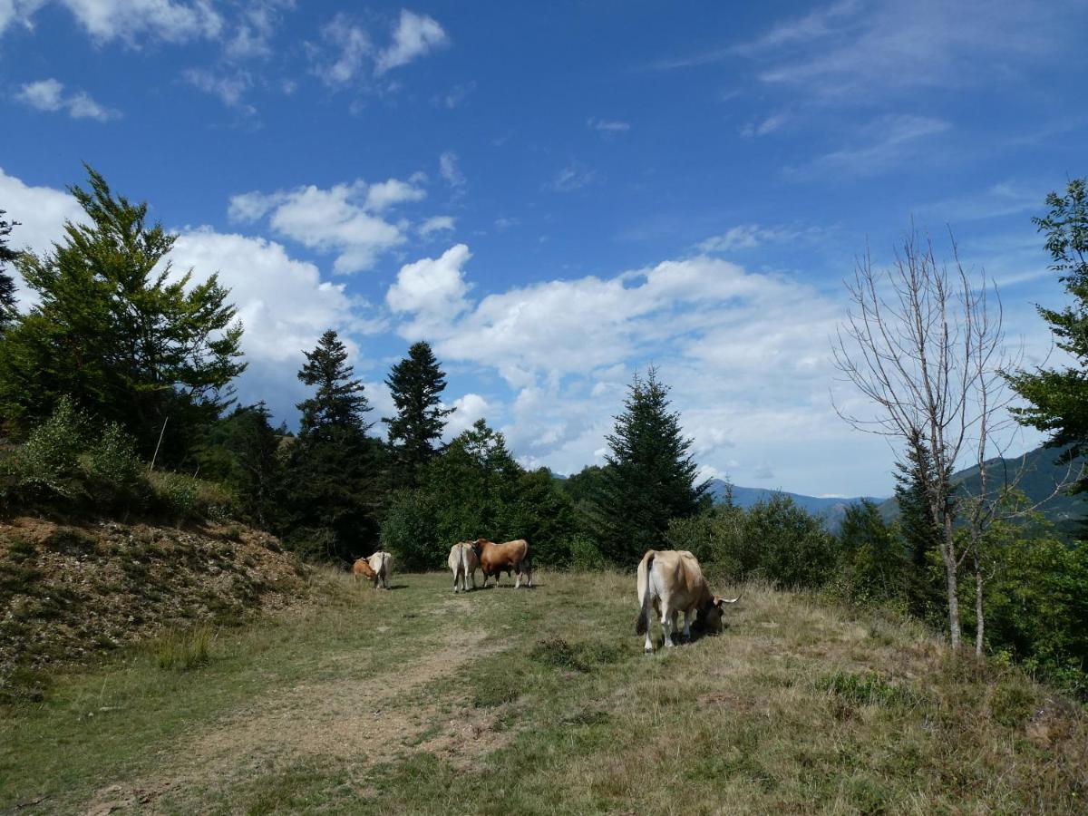 Pleine Nature Pied Pistes Piscine Chauffee Ustou Exterior foto